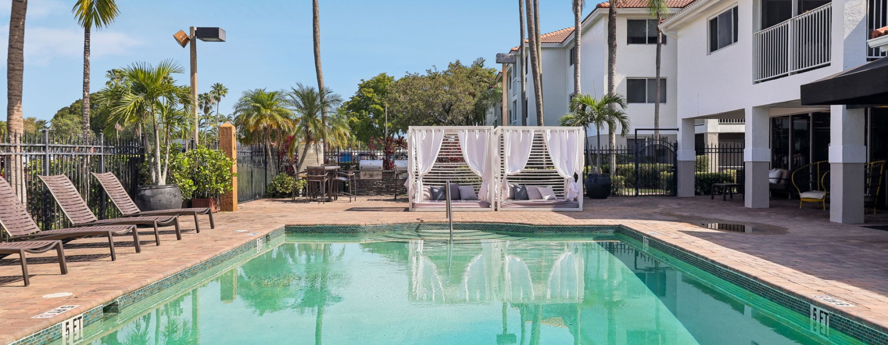 Swimming pool surrounded by palm trees