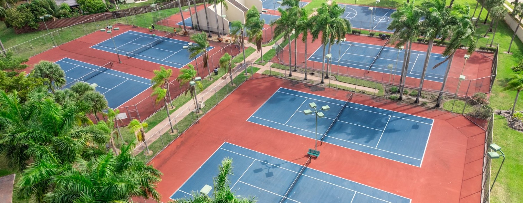 Aerial of sports courts with palm trees