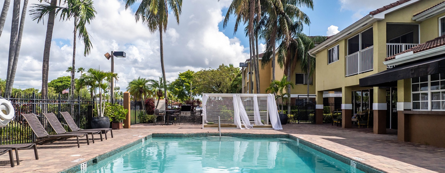 Swimming pool surrounded by palm trees